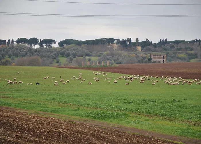 Affittacamere Casale Appio