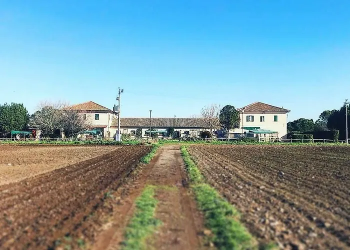 Casale Appio Affittacamere